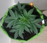 20250331_181213.jpg 20250331_181213.jpg