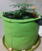 20260120_063922.jpg 20260120_063922.jpg