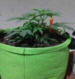 20260120_065740.jpg 20260120_065740.jpg