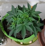 20260120_074410.jpg 20260120_074410.jpg