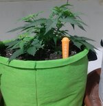 20260120_074332.jpg 20260120_074332.jpg