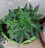 20260120_074346.jpg 20260120_074346.jpg