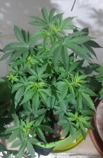 20260121_065851.jpg 20260121_065851.jpg