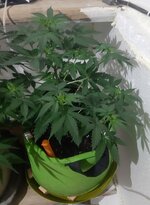 20260121_083518.jpg 20260121_083518.jpg