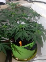 20260121_083917.jpg 20260121_083917.jpg