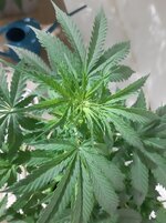 20260121_091820.jpg 20260121_091820.jpg