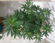 20260121_091809.jpg 20260121_091809.jpg