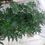 20260121_094024.jpg 20260121_094024.jpg