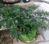 20260121_094011.jpg 20260121_094011.jpg