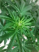 20260122_060825.jpg 20260122_060825.jpg