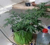 20260122_061302.jpg 20260122_061302.jpg