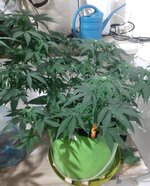 20260122_071114.jpg 20260122_071114.jpg