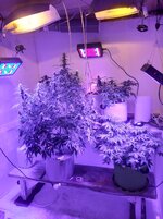 20260123_065250.jpg 20260123_065250.jpg