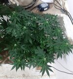 20260123_065651.jpg 20260123_065651.jpg