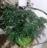 20260123_065639.jpg 20260123_065639.jpg