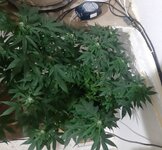 20260123_065627.jpg 20260123_065627.jpg