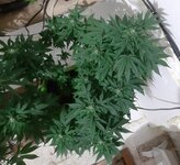 20260123_073553.jpg 20260123_073553.jpg