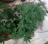 20260123_074443.jpg 20260123_074443.jpg