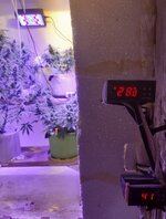 20260124_064849.jpg 20260124_064849.jpg