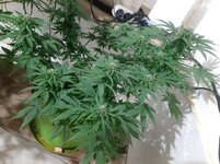 20260124_065531.jpg 20260124_065531.jpg