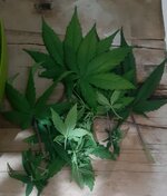 20260124_065506.jpg 20260124_065506.jpg