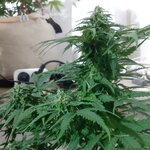 20260124_071239.jpg 20260124_071239.jpg