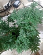 20260124_072511.jpg 20260124_072511.jpg