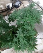 20260124_074621.jpg 20260124_074621.jpg