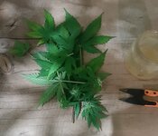 20260125_061227.jpg 20260125_061227.jpg