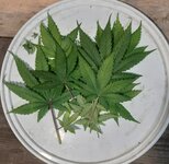 20260125_082417.jpg 20260125_082417.jpg