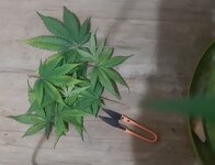 20260125_090428.jpg 20260125_090428.jpg