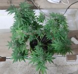 20260125_094512.jpg 20260125_094512.jpg