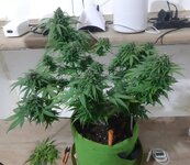 20260125_094756.jpg 20260125_094756.jpg