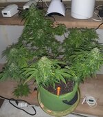 20260125_094719.jpg 20260125_094719.jpg