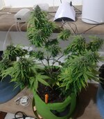 20260126_062951.jpg 20260126_062951.jpg