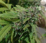 20250613_210903.jpg 20250613_210903.jpg