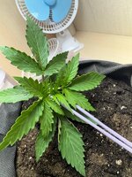 daa54890-154c-44e8-99c3-7c425153a738 (1).jpg