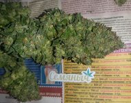 20260127_060930.jpg 20260127_060930.jpg