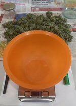 20260127_060752.jpg 20260127_060752.jpg