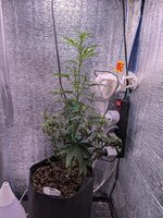 PXL_20260128_074121423.jpg PXL_20260128_074121423.jpg