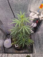 PXL_20260128_074202364.jpg PXL_20260128_074202364.jpg