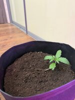 photo_2026-01-28_16-34-59.jpg photo_2026-01-28_16-34-59.jpg