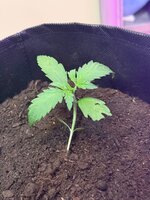 photo_2026-01-28_16-34-58.jpg photo_2026-01-28_16-34-58.jpg