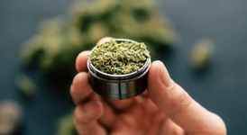 1770392750440.png 1770392750440.png