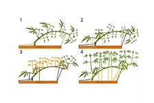 Instrukciya po tekhnike LST-podgiba.jpg