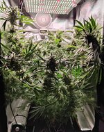 Day 109 (19.02) (3).jpg Day 109 (19.02) (3).jpg