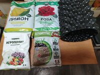 IMG_20260220_000200.jpg IMG_20260220_000200.jpg