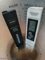 IMG_20260220_014501.jpg IMG_20260220_014501.jpg