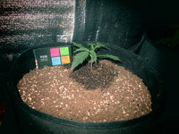 Летим в Астрал