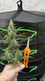 Автик+фотик(упор на фотик)